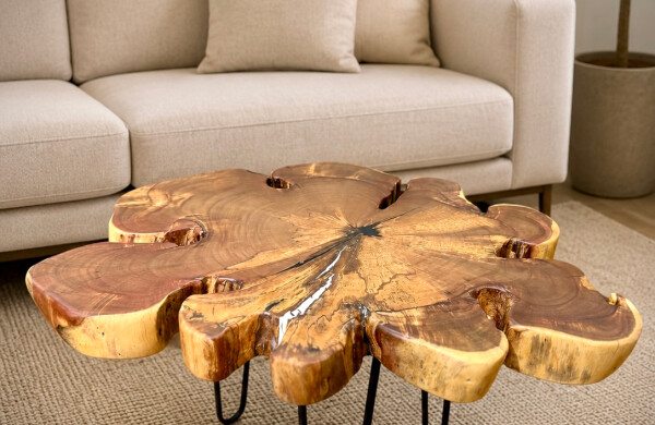 Coffee_Table_07