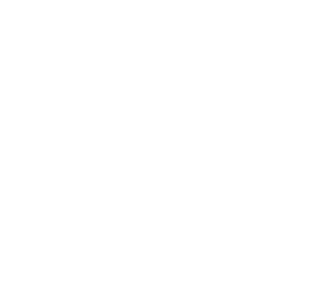 Art of Suar Wood